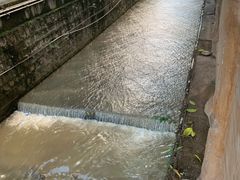 -汤锅大王(新平曹苏黄牛汤锅有限公司)