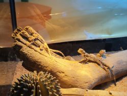 -酷嗒动物文化乐园(cutezoo西溪乐天城店)