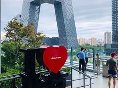 -中央广播电视总台(光华路办公区)