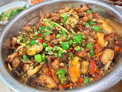 -食神又名厕所兔