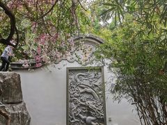 -深圳国际园林花卉博览园