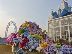 -杭州湾海上花田景区
