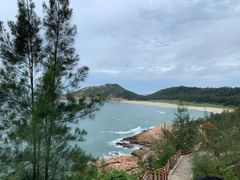 -广东惠东海龟国家级自然保护区