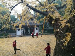 -无锡惠山寺
