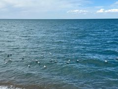 -青海湖国家重点风景名胜区