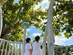 -前小桔亲子创意农场·草莓采摘·露营烧烤