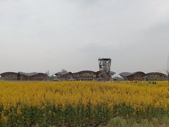 -中国天府农业博览园