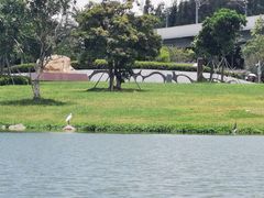 -宝安西湾红树林湿地公园
