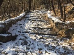-阳台山自然风景区