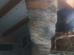 -延庆地质公园博物馆