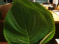 -新石器烤肉(之心城店)