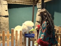 -重庆欢乐海底世界