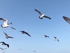 -海驴岛(荣成市)