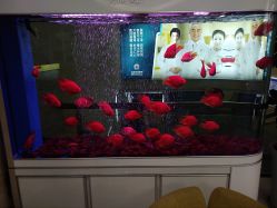 -成都军建医院·疤痕诊疗中心