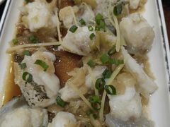 清蒸龙趸-瑞记湛江鸡饭店·粤西第一鸡(粤垦店)
