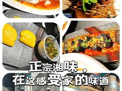-凤凰湘语(浦东旗舰店)