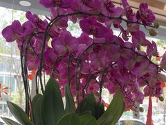 -深圳尔睦丽沙口腔门诊部(丽沙花都店)