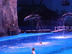 -华夏文旅海洋公园