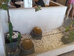 -莓超疯