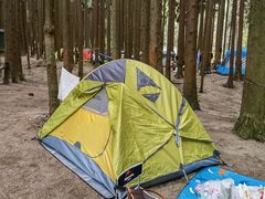 -武陵山森林公园
