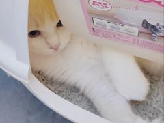 -萌兽医馆·眼科·异宠专科(三里屯店)