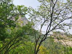 -北京上方山国家森林公园