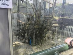 -南宁市动物园