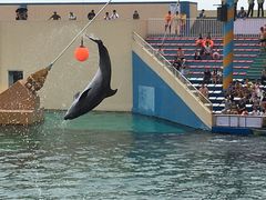 -秦皇岛乐岛海洋王国