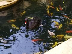 -湖鲜楼