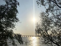 -宝安西湾红树林湿地公园