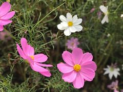 景点-盈香心动乐园