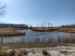 -野鸭湖国家湿地公园