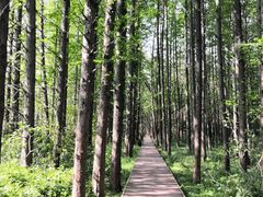 -同里国家湿地公园