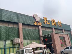 -石岐乳鸽村(南海第三分店)