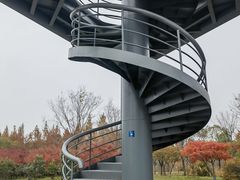 -贡湖湾湿地公园