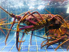 -徐记海鲜(汉城湖|太奥店)