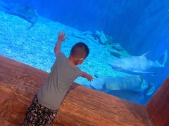 -华夏文旅海洋公园