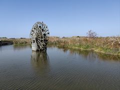 -宁波杭州湾国家湿地公园