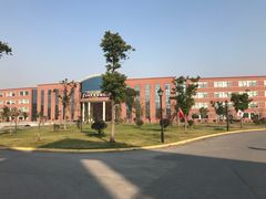 -中加枫华国际学校