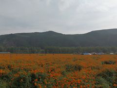 -塞罕坝国家级自然保护区