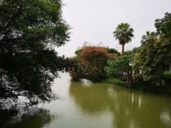 -江心屿景区