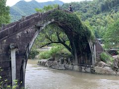 -鹿亭中村