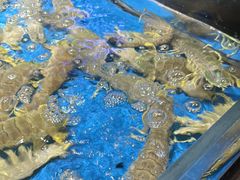 -徐记海鲜(大雁塔|金都店)
