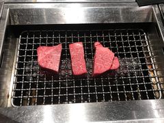 -俺的焼肉(銀座9丁目店)