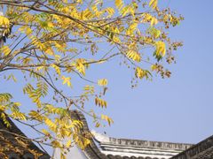 -惠山古镇·寄畅园