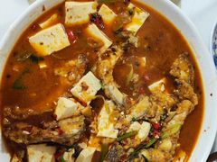 -煲来饱去冷水鱼