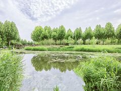 -北龙湖湿地公园