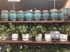 -优衣库(深圳万象天地旗舰店)