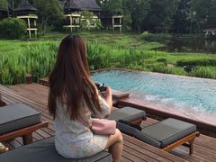 -四季酒店下午茶