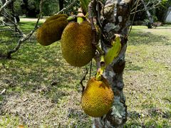 -红色娘子军纪念园